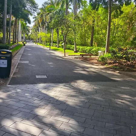 Casa Teide Semesterbostad Icod De Los Vinos