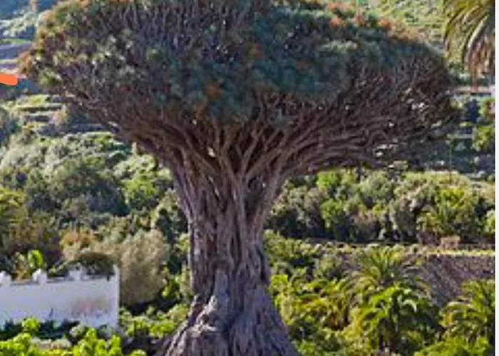 بيت للعطل Casa Teide *