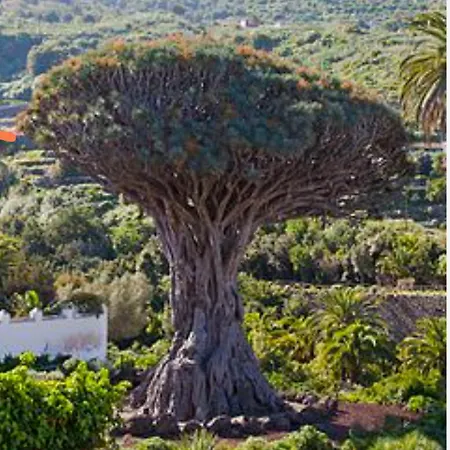 Casa vacanze Casa Teide, Disfruta De El Atardecer En Tu Gran Terraza Privada *