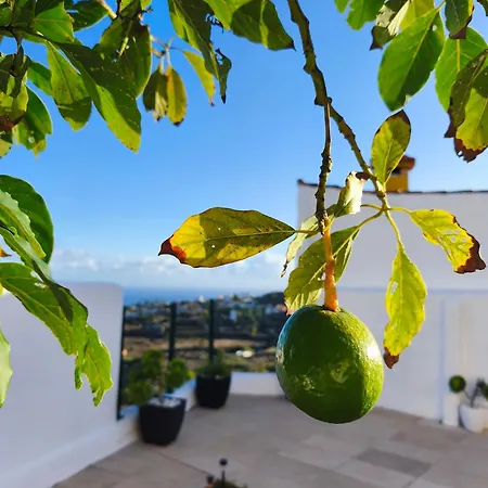 Casa de Férias Casa Teide, Disfruta De El Atardecer En Tu Gran Terraza Privada *