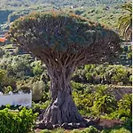 Дом отдыха Casa Teide *